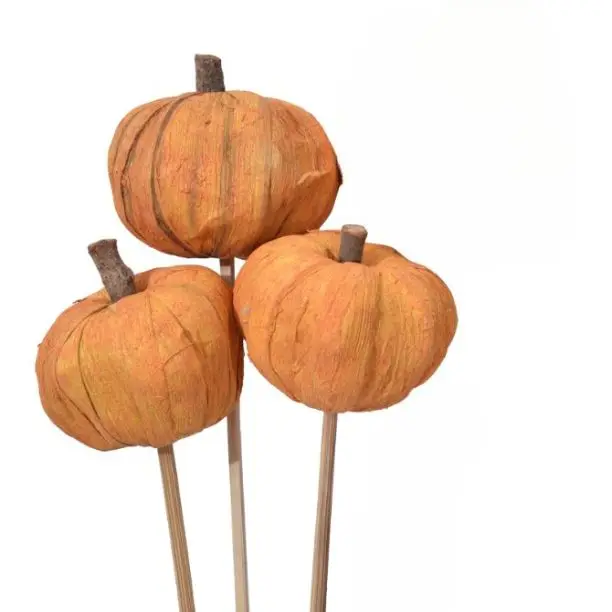 High Quality Wholesale Natural Pana Pumpkin Orange for DIY, Events Decor & Other Decor, Centerpiece