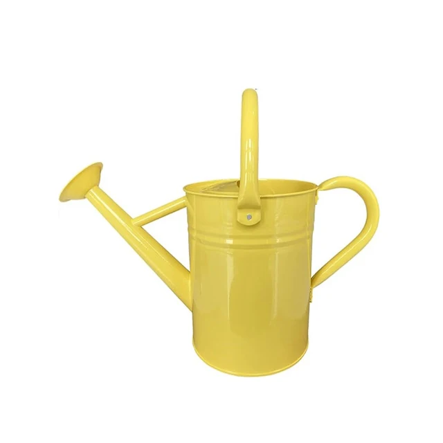 Decorative Watering Bucket Metal Kids Can Small Garden Water for Home