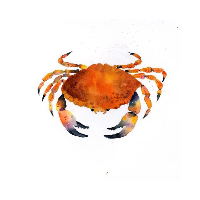 Лидер продаж, крабы из живой грязи, синяя упаковка в замороженном стиле, вес полки, оригинальный тип жизни, разные продукты, картонная модель места