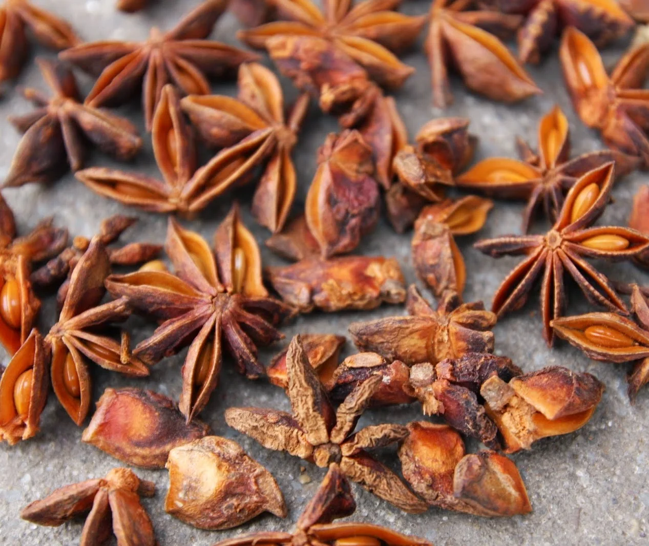 High Quality Dried Star Anise Ground Broken Star Anise Single Spices & Herbs Anise Seed