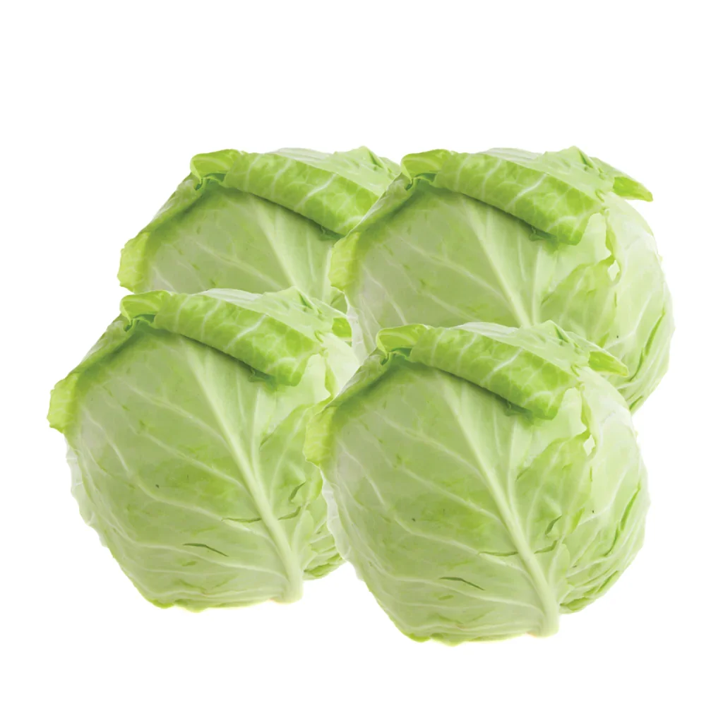 Hot Sell High Quality 100% Natural 2022 Good Quality New Season Fresh Vegetable Exporter Fresh