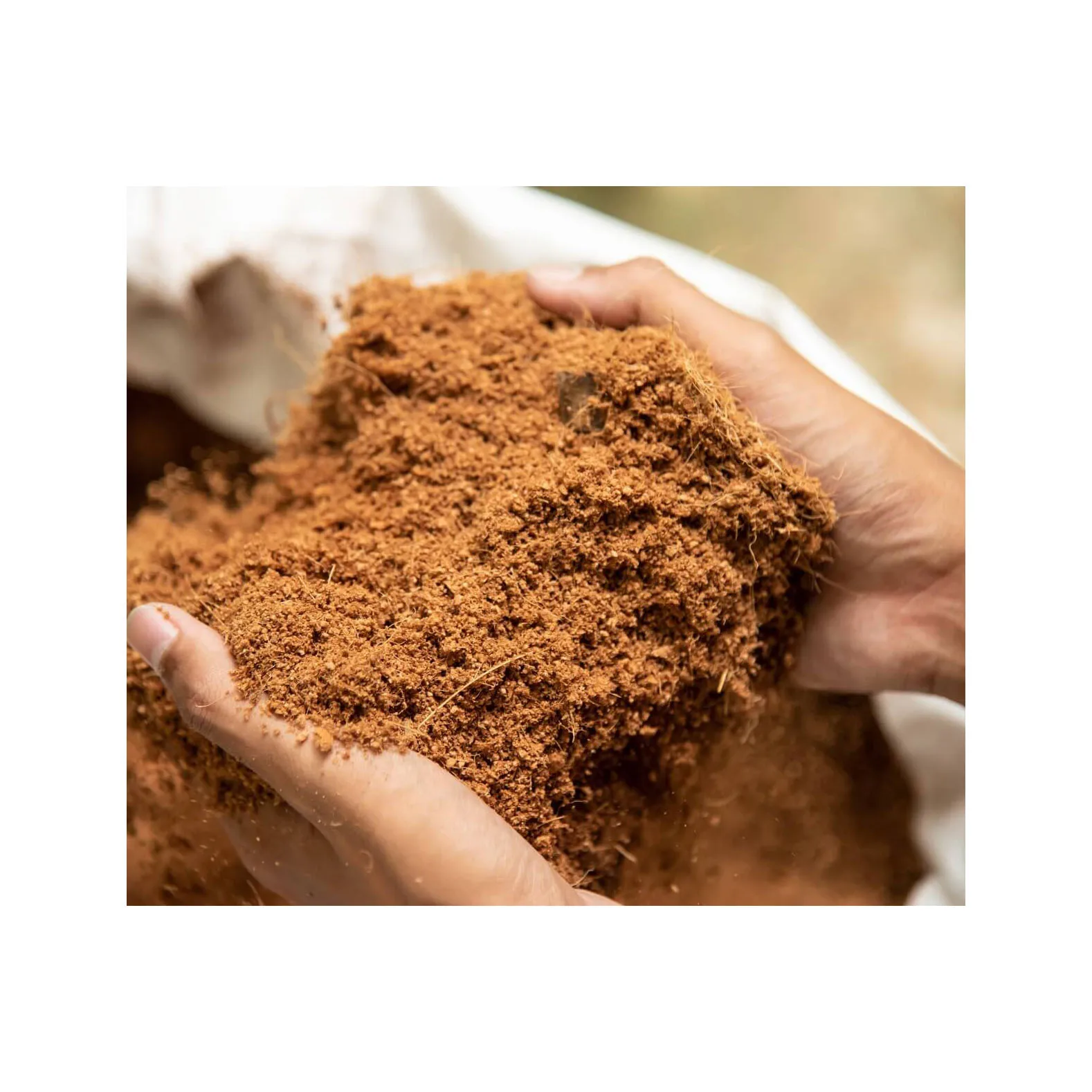 Лучшие Продажи кокосового торфа 5 кг Блок ореха из