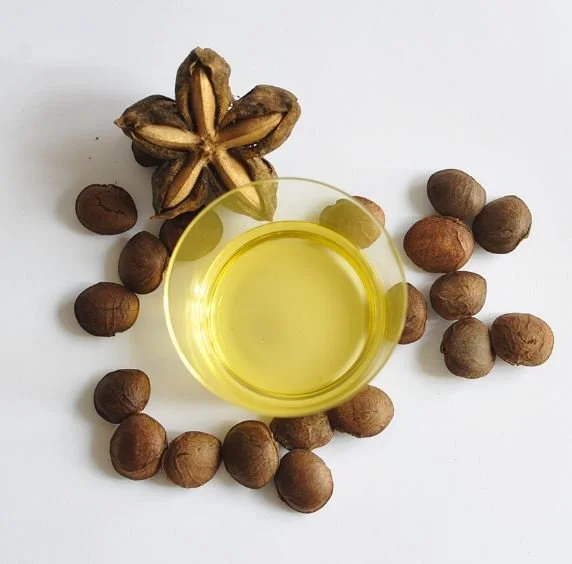 Поставщик масла Sachi Omega 3 6