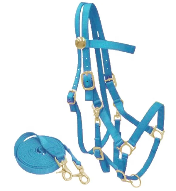 Equestrian Padded Headstall Reins Horse unique custom handmade horse riding halter bridle affordable price manufacturers India