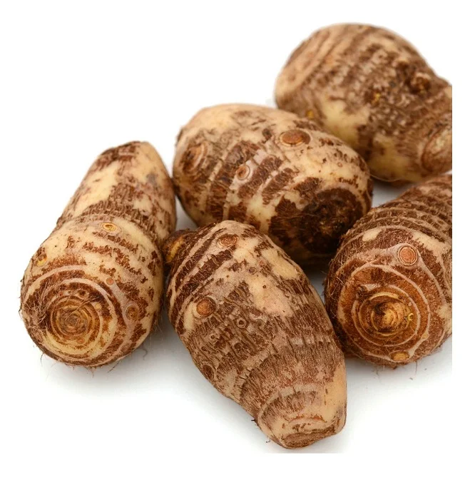 Cheap Price Bulk Sale Top Quality fresh taro new harvest fresh taro factory directly supply fresh taro wholesale