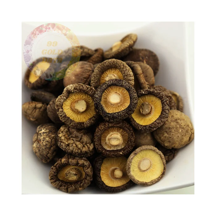 Bulk Dried Mushrooms at Competitive Prices - High-Quality, Natural Product from Vietnam