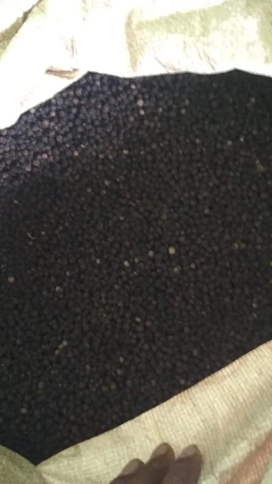 Wholesale Price Ground Dried Black Pepper For Cooking Organic Black Pepper