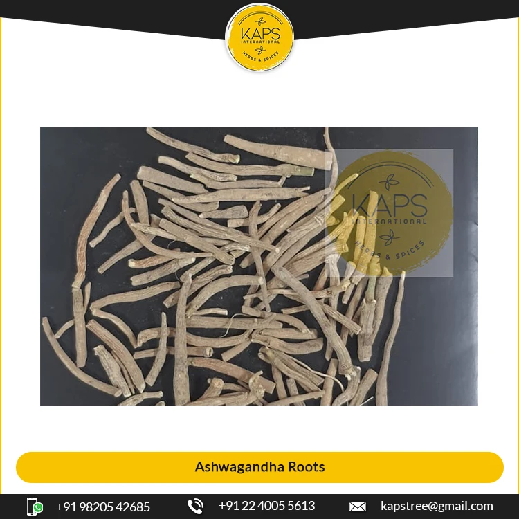 Top Grade Bulk Supplier of Ashwagandha Roots Herbs Product at Best Price from India