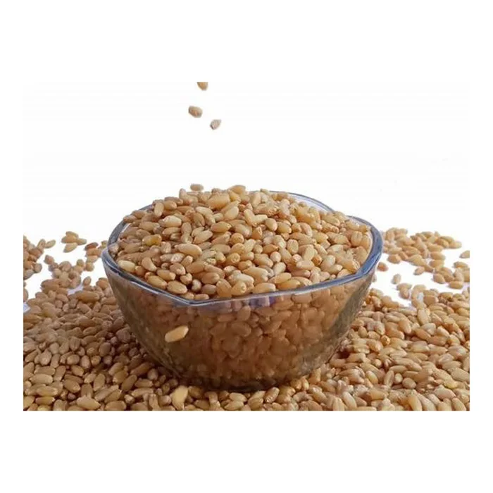 PREMIUM QUALITY Whole-grain Wheat Cereal Wheat Grain for Human Consumption
