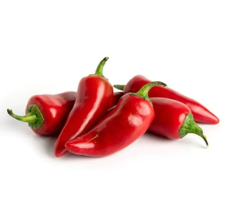 Big Supplier with Competitive Price - Fresh Red Chili - With Export Standard From Best Seller
