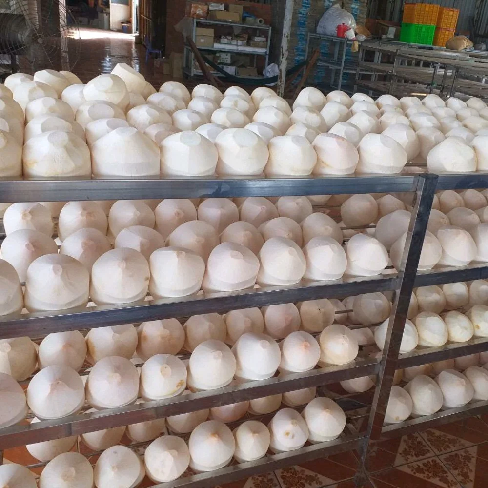 Оптовая продажа, свежий молодой кокос для питья и приготовления пищи, высшее качество от производителя из Вьетнама