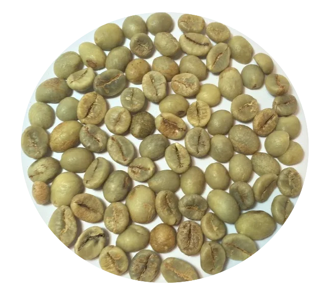 [Crop 2023-2024] Whole Bean Coffee High Quality Raw Coffee Beans Directly from The Farm // Whatsapp:+84-975807426 Lucy