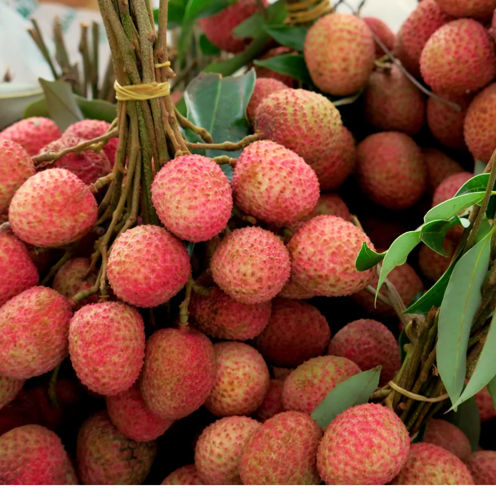 High Quality Fresh Fruit From Vietnam Wholesale Fresh Lychee Best Price For Tropical Fruit Ready To Ship