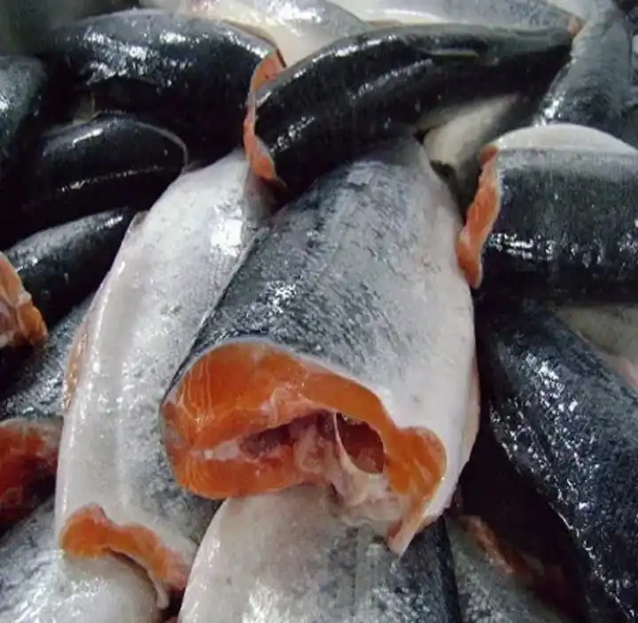 Wholesale Frozen Salmon Fish frozen salmon smoked fish salmon shoe