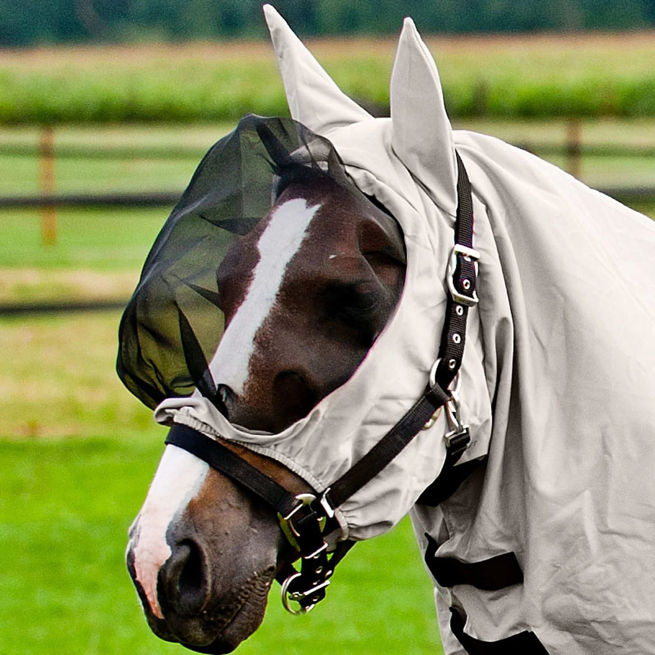 Wholesale Price Full Customized Eczema Rug Horse from Head to Tail Protective Equestrian Clothing Anti Eczema Blanket Sheet Rug