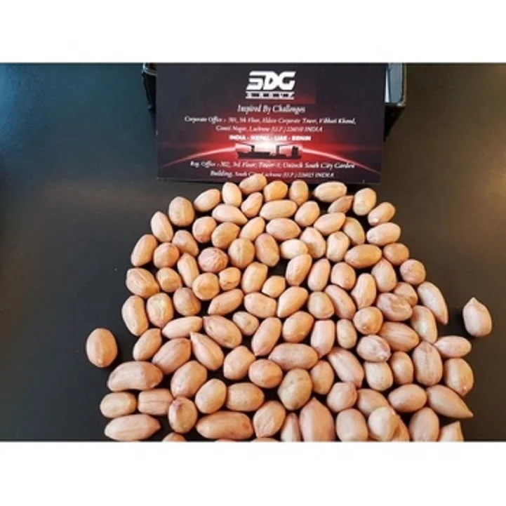 JAVA GROUNDNUT INDIA GREAT QUALITY OF GROUND NUT OFFER PRICE