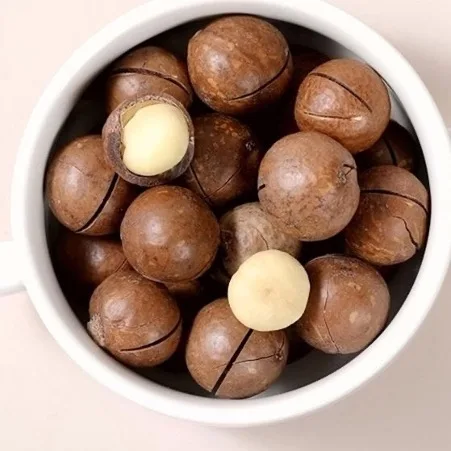 100% QUALITY GUARANTEE Macadamia Nuts, Roasted Macadamia, Organic Macadamia Nuts USA Gold Data