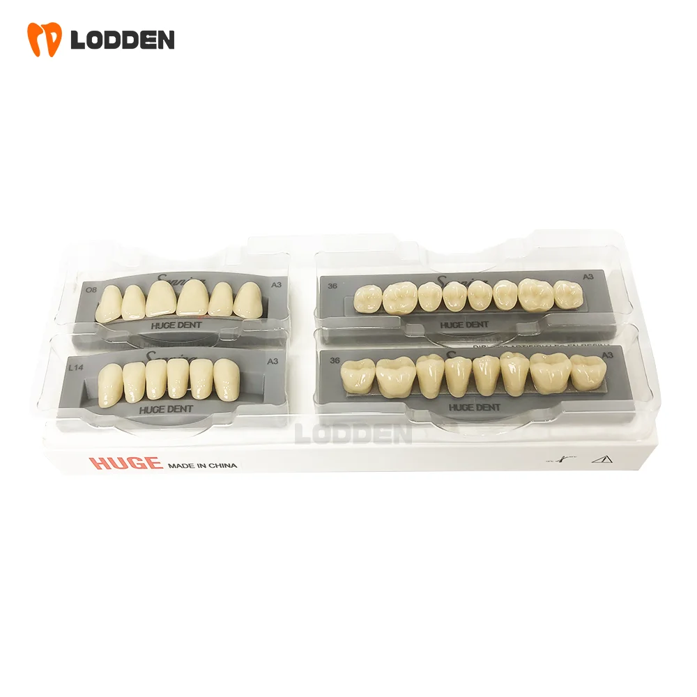 hot sale Three layers effect Huge Sonning Teeth 28*1*4 dental material False Teeth Acrylic Resin Practical False Teeth
