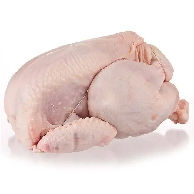 Canada Best Halal Whole Frozen Chicken For Export / Chicken breast , Chicken Legs, Chicken Drumstick