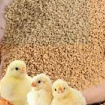 Chicken Feed from France to Export Globally