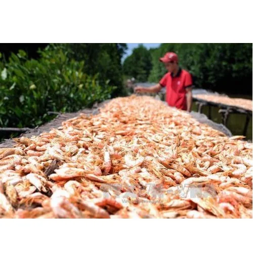 100% Natural Fresh Shrimp Ingredients Dried Seafood Freeze Dried Shrimp With Vacuum Pack From Vietnam