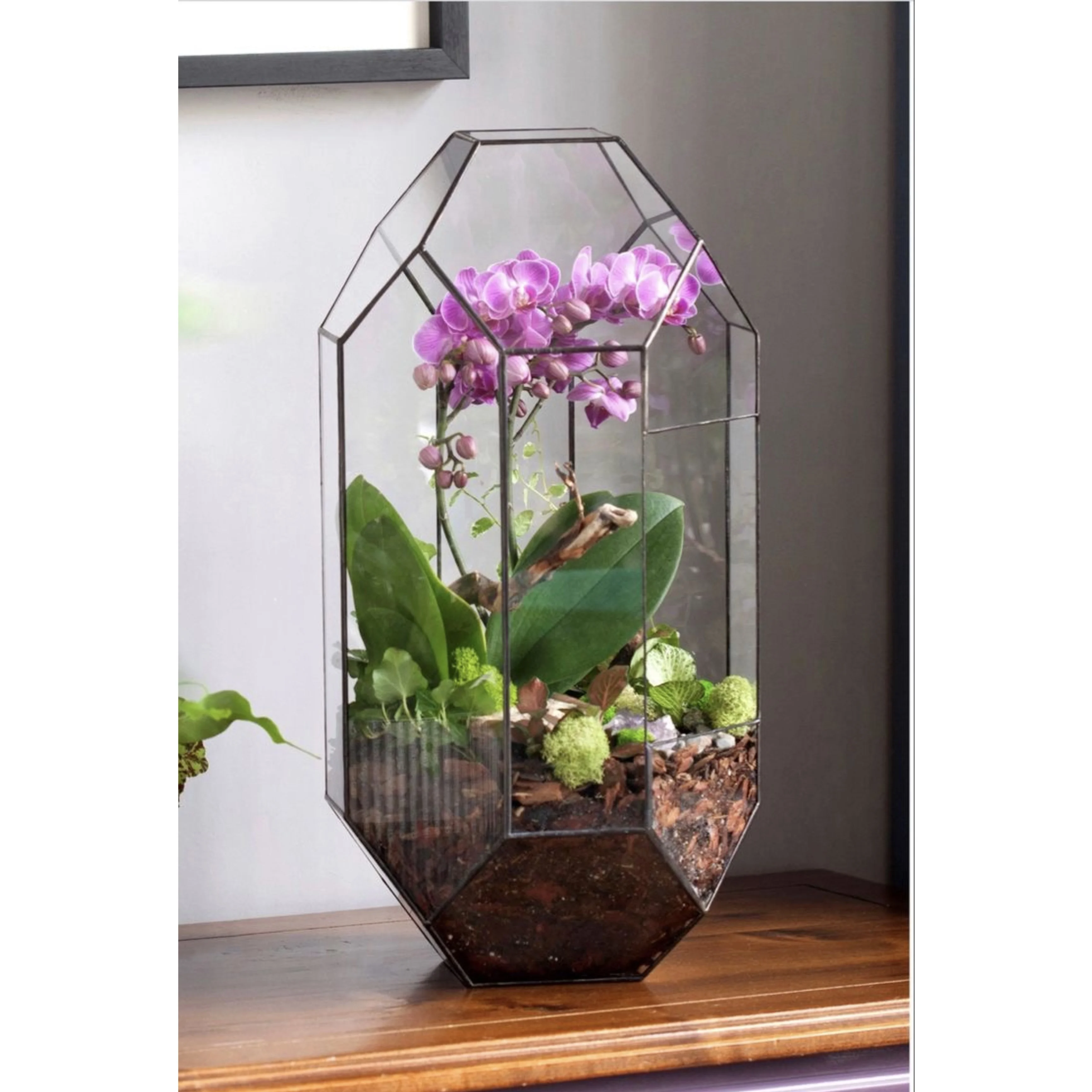 Wholesale Decorative Glass Metal Framed Plant Terrariums in Different Customized Shapes, Sizes for Home and Garden Decoration