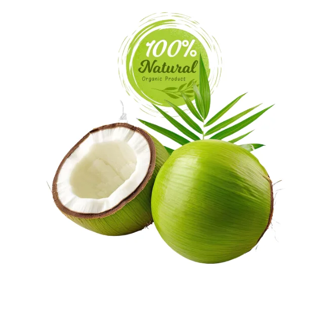 Organic Fresh Coconuts - Safe and Pure Guaranteed