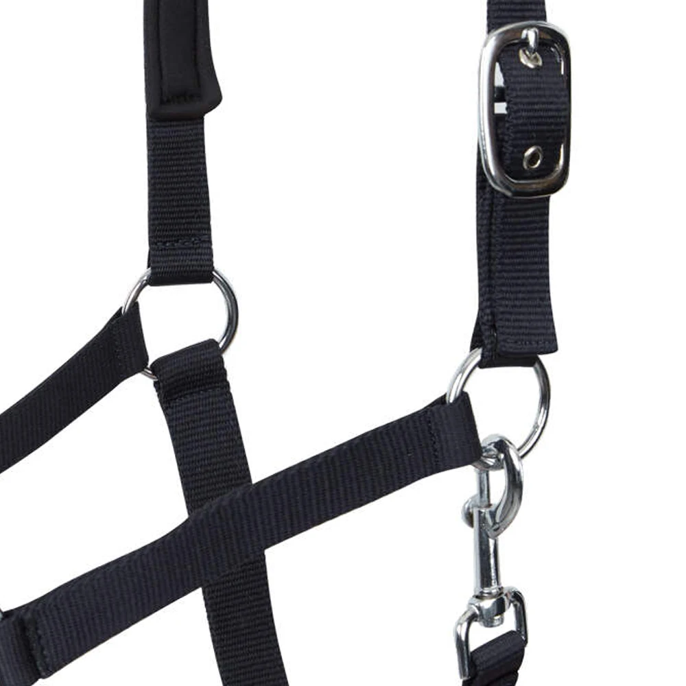 Nylon Top Quality Custom Horse Halter, Adjustable & Durable Halter wholesale