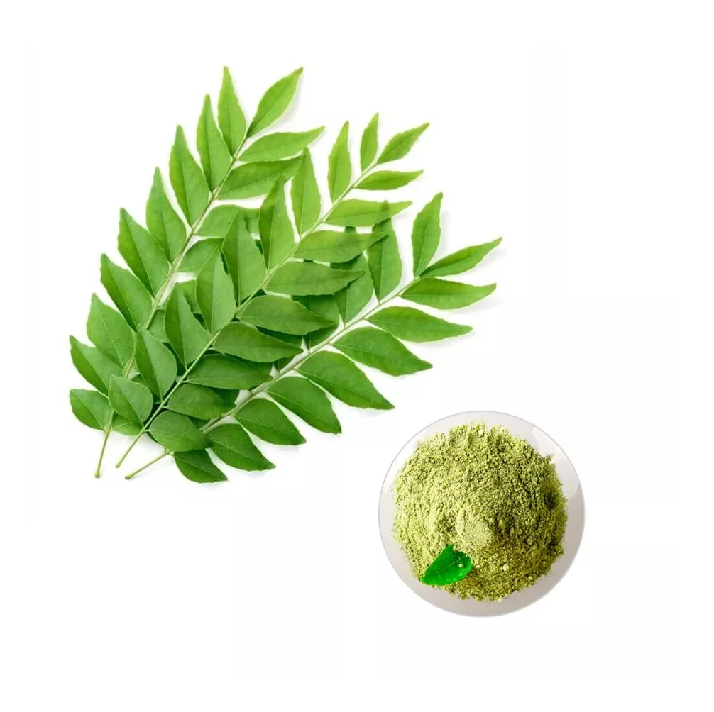 Best Quality for Dehydrated Vegetable Curry Powder for Cooking Flavour Available Customized Jars at Bulk Price for Export