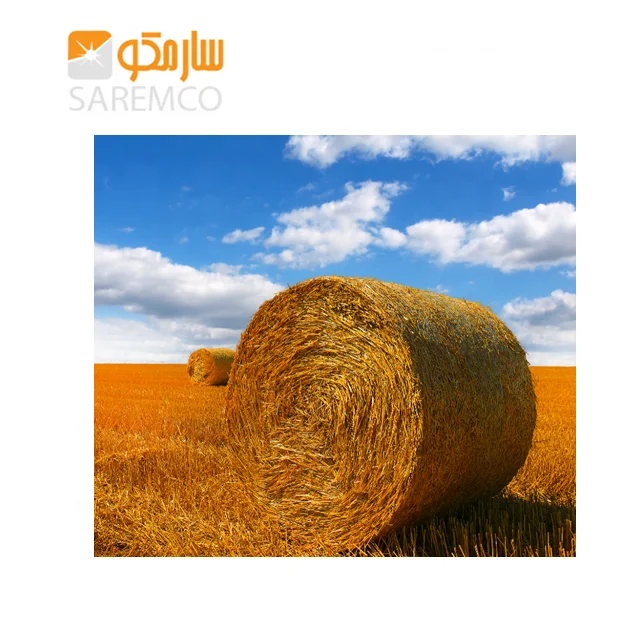 Highest Quality Chopped Pakistani Round Bales Wheat Straw Poultry Animal Feed Wheat Straw Feed Animal Feed Production