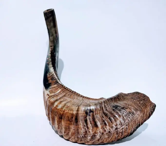 Рог Ram shofar David Gerstein Birds in Flight красочный Hanukkah Menorah Laser