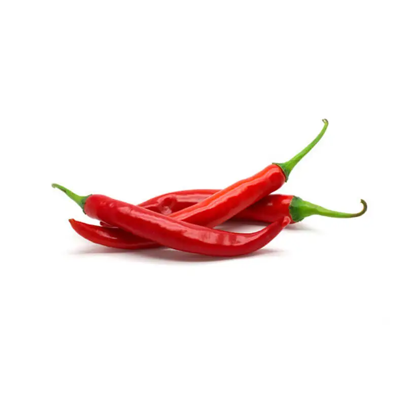 Dried Chilli Hot Powder Red Pepper
