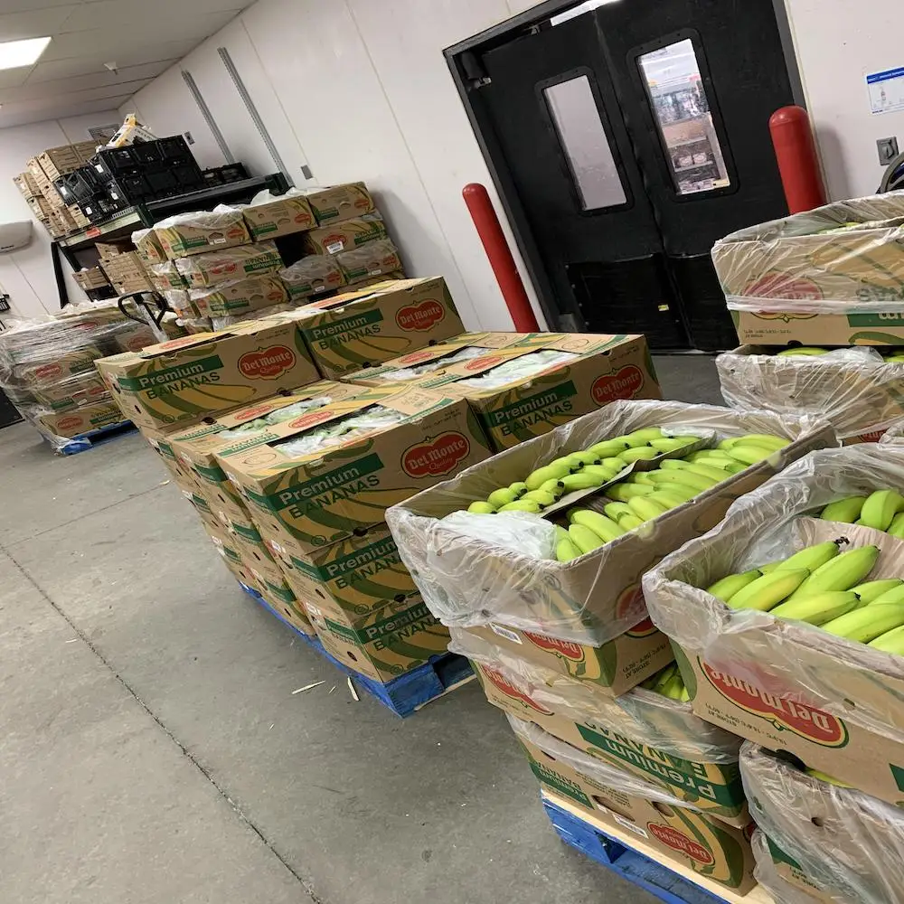cavendish banana 8.jpg