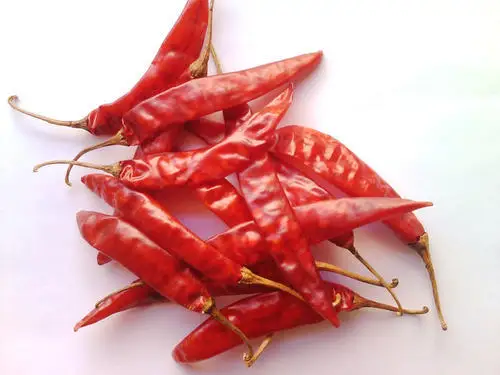 Bulk Purchase Whole Natural Dried Chilli Top Grade Indian Spices & Herbs Products Buy From India at Wholesale