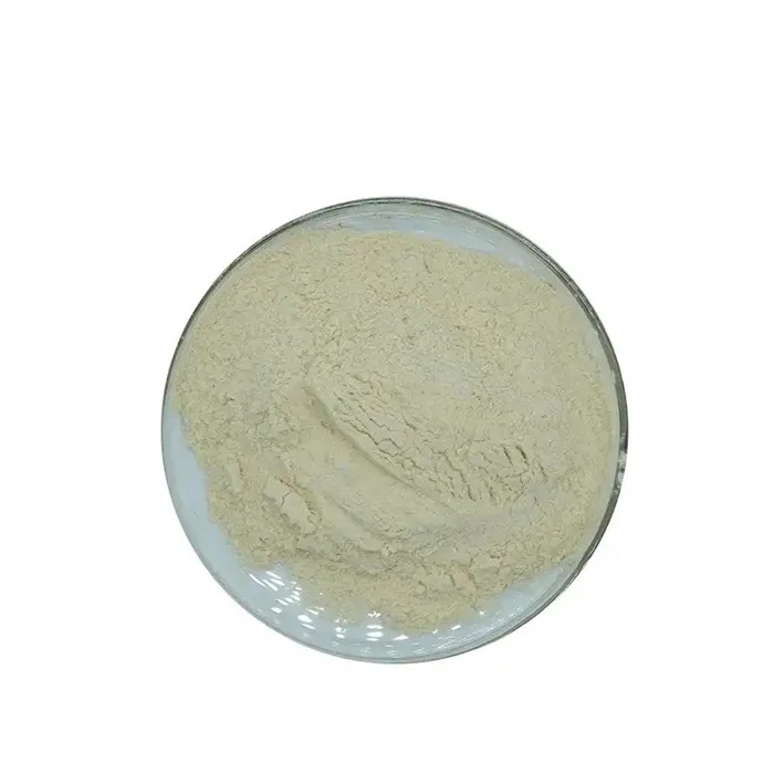 Factory Supply Alkaline Protease Enzyme Alkaline Protease High Quality