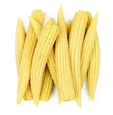 High Quality IQF Baby Sweet Corn Young Corn Cut Frozen Baby Corn Whole