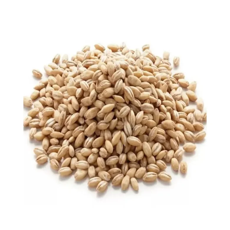 Wholesales Barley Seeds/Animal feed barley/bulk barley grains for sale
