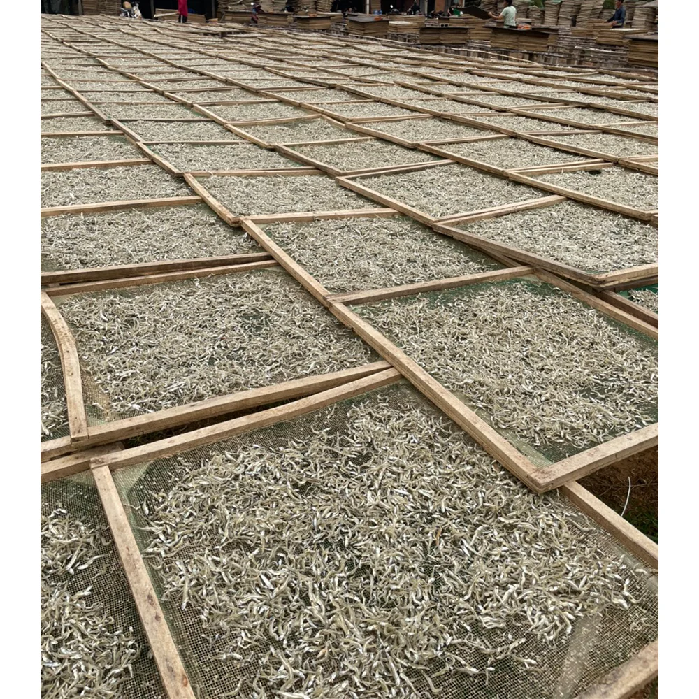 Best Price Factory Professional Production Bulk Dried Anchovy Dried Salted Anchovy Dry Anchovy Fish From Vietnam