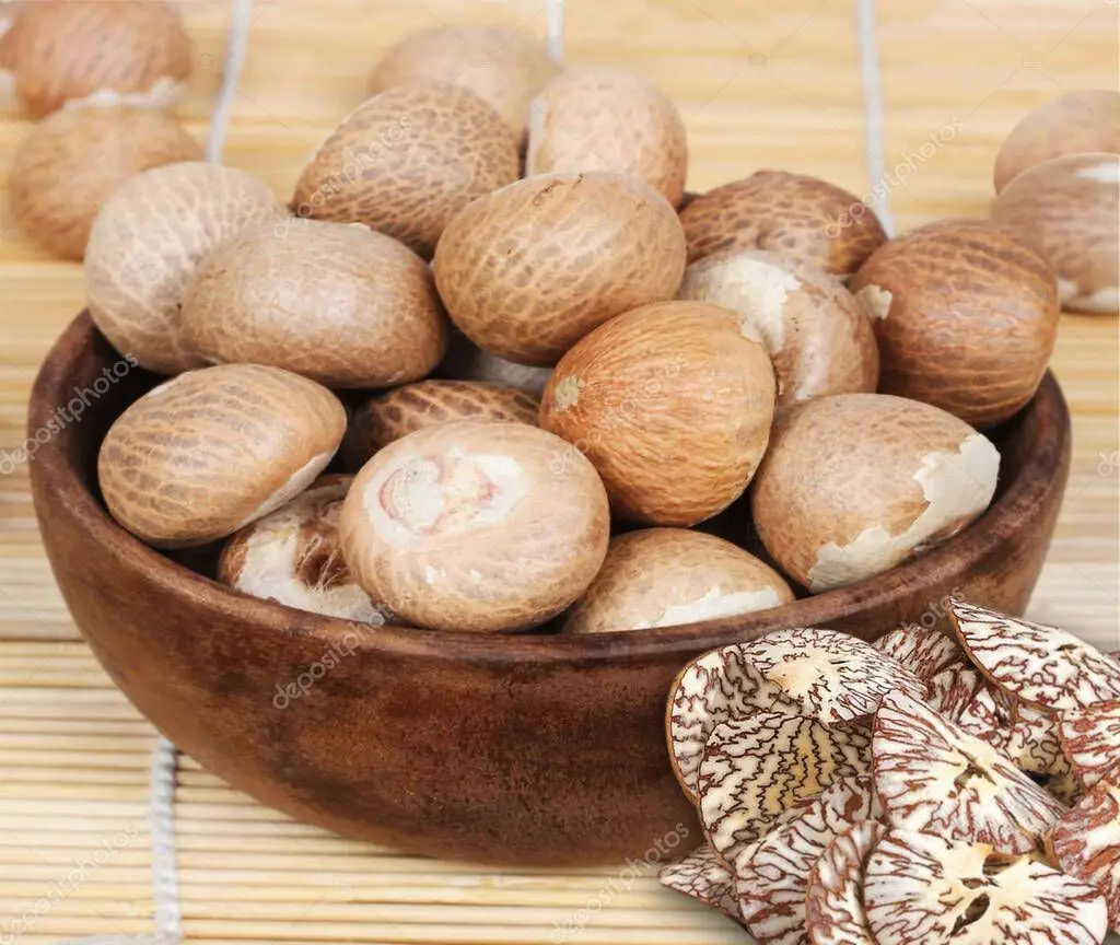 Полностью высушенные орехи Betel купите betel по лучшей цене богатые чтобы повысить уровень