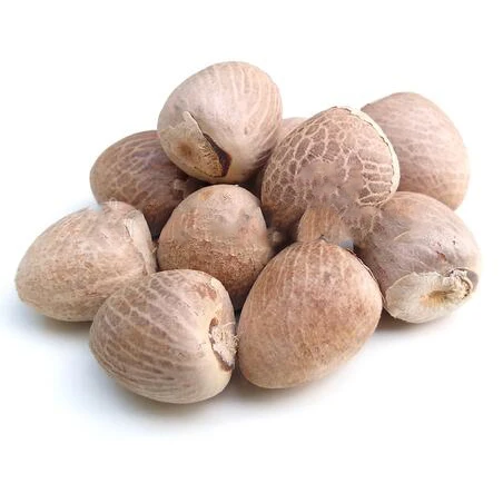 High Quality New Crop Betel Nuts Ready To Export From Thailand Best Price Feet For Bangladesh / India / Pakistan Market