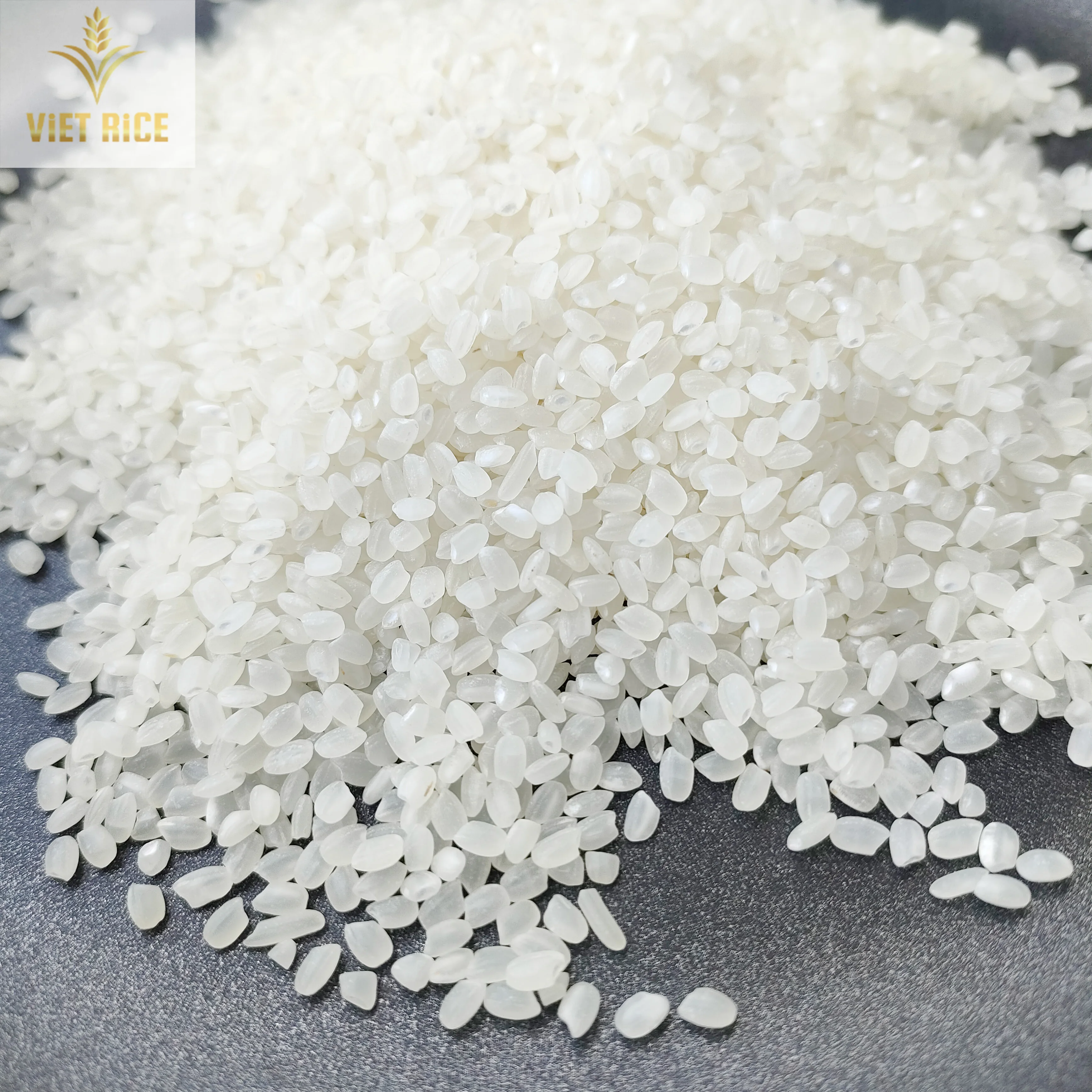 JAPONICA rice premium quality, is in large quantity, good price in the market. from Vietnam contact for good price +84829044060