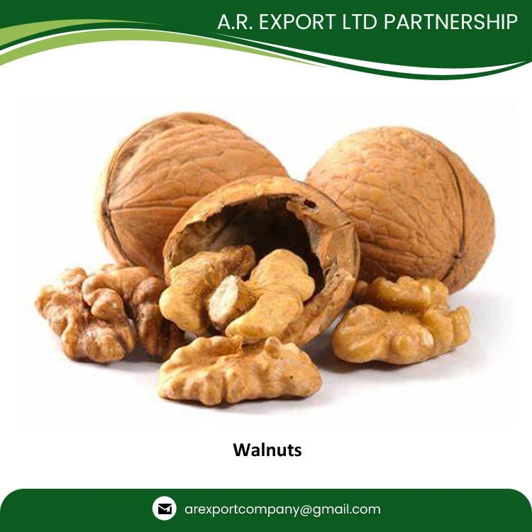 Factory Price Wholesale Traders Supply Top Quality Fresh and Natural Kernels Walnuts in Shell Dry Fruit for Wholesale Buyers