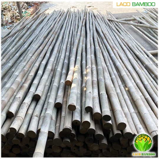 Bamboo Cane with Cheap Price, Moso Bamboo Poles Custom Service Natural Bamboo For Decor And Construction.