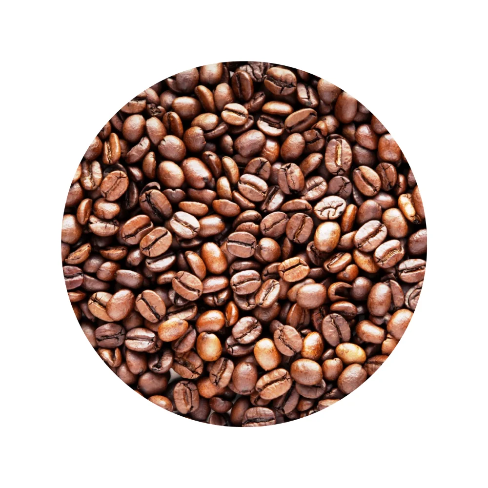 VIETNAM ROBUSTA COFFEE GREEN BEANS NEW CROP WHOLESALE HIGH QUALITY GOOD SOURCES FACTORY PRICE TOP SUPPLIER HANFIMEX +84374074818