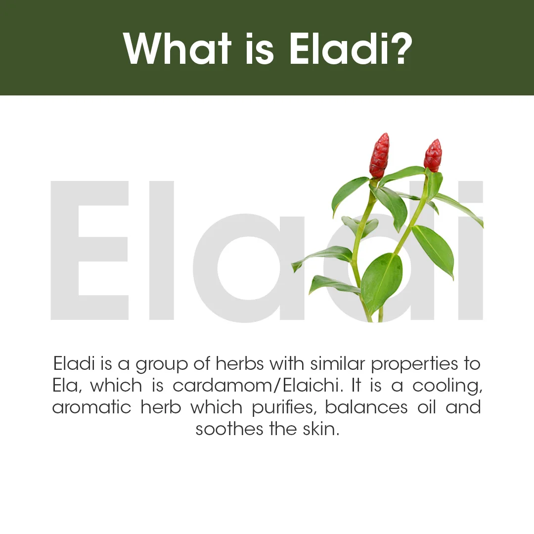 Buy Eladi Sunscreen Matifying SPF 50 & PA+++ UVA & UVB Rays Protection Summer Condition Sunscreen For Unisex