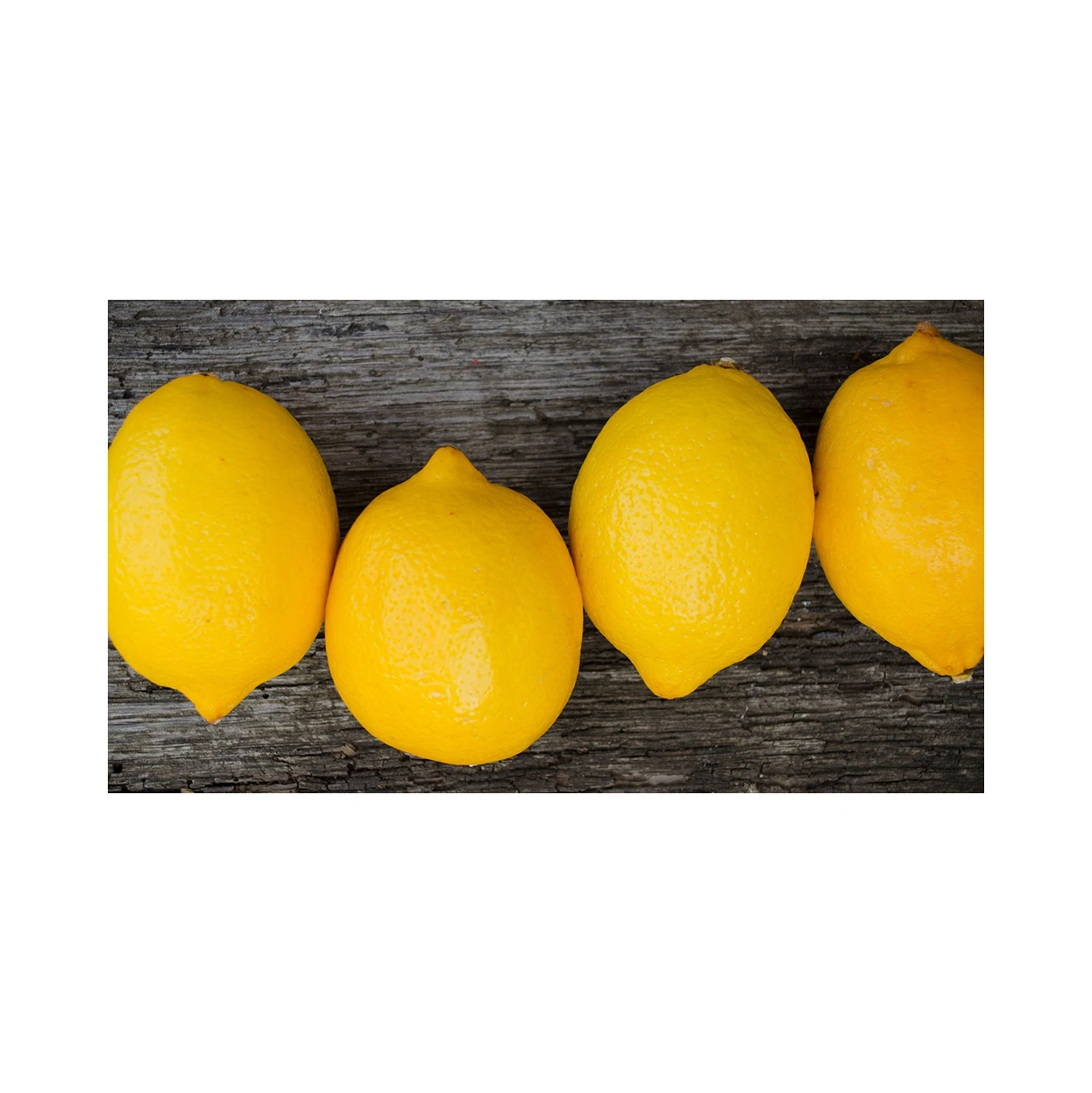 High-Quality Wholesale Fresh Lemon Fresh Fruit Organic Lemon Direct Selling Available At Reasonable Prices
