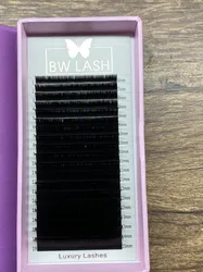 BW Factory kOREA in Vietnam Super Mink eyelash/lovely private label silk made in Vietnam