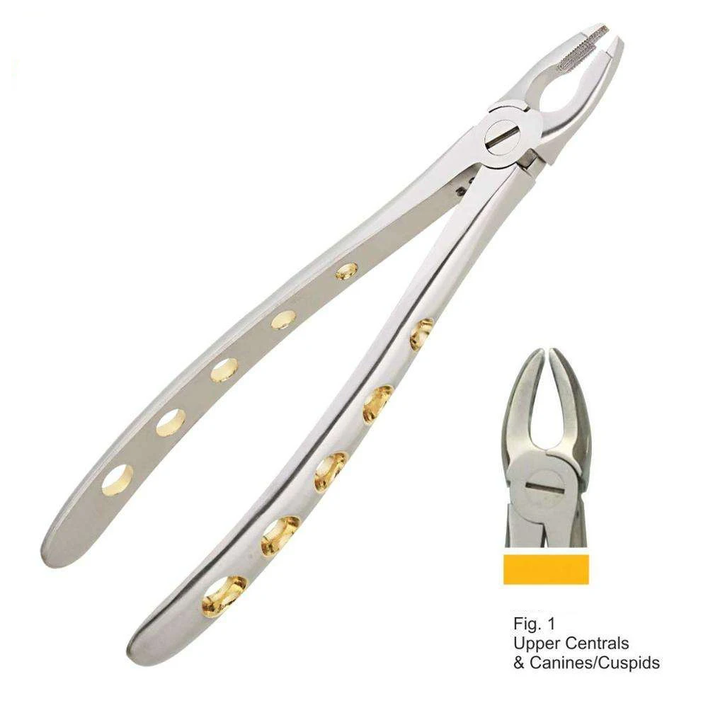 Extracting Forceps English Pattern Upper Centrals & Canines Cuspids Orthodontic Dental Lab Instruments Wholesale Stainless Steel