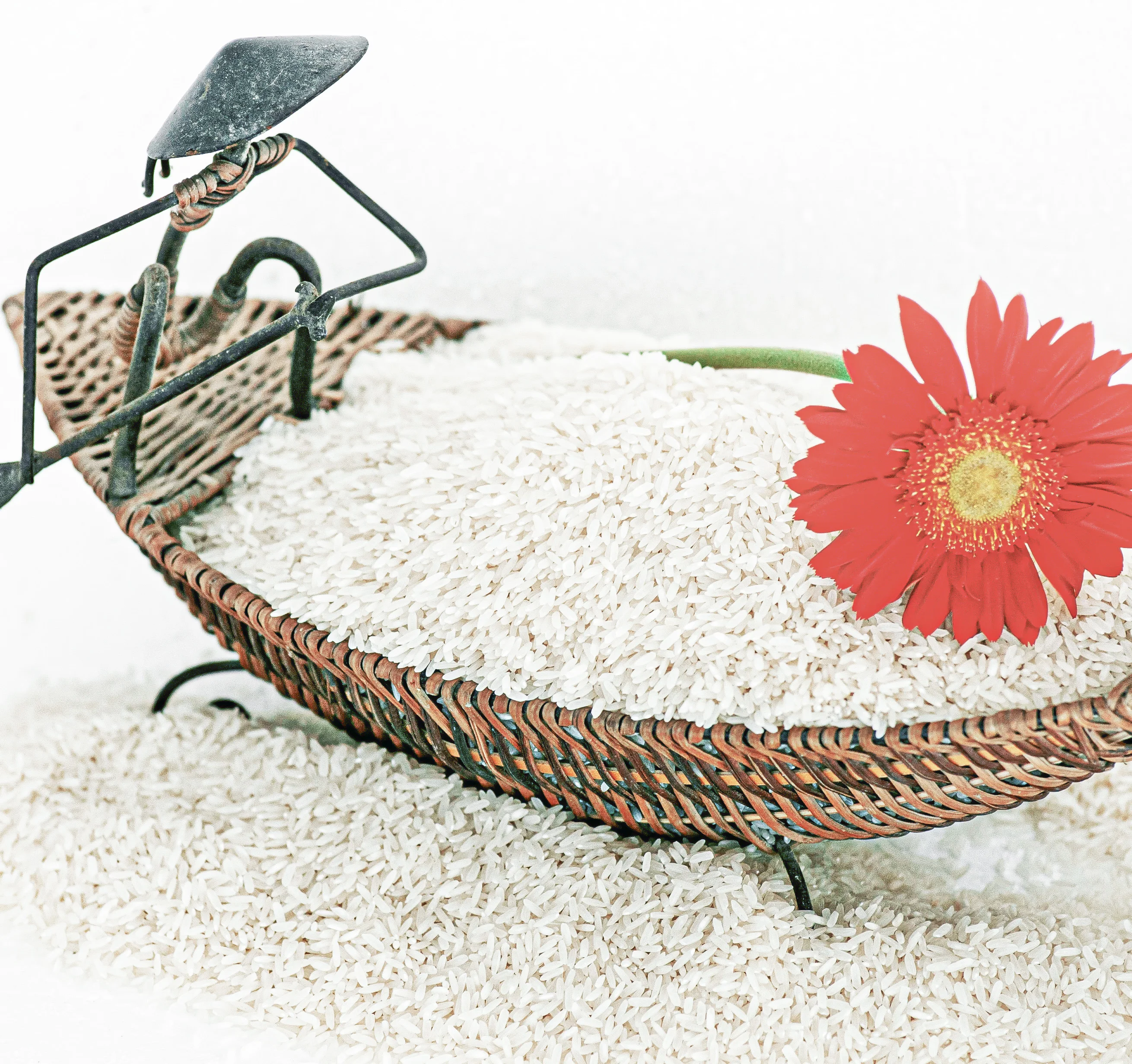 Seven Mountain Rice St25 Plus 17 Amino Acids Max Soft White Dried Rice Fresh Grain ISO 22000 HACCP GMP Certification