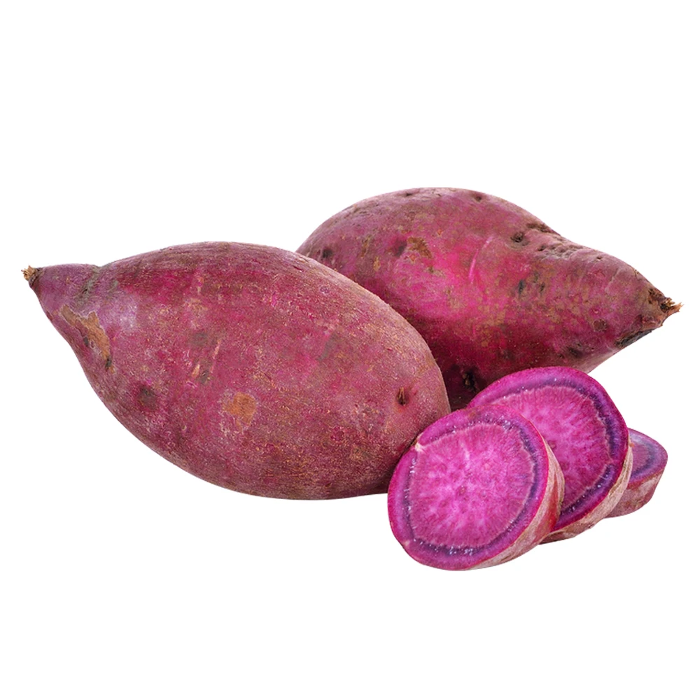High Quality Cheap Price Fresh Sweet Potatoes Fresh Purple Sweet Potato Factory from Vietnam